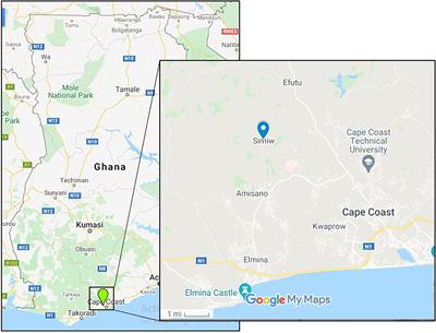 Profiling the Quality and Quantity of Naturally Induced Antibody Responses Against Pfs230 and Pfs48/45 Among Non-Febrile Children Living in Southern Ghana: A Longitudinal Study